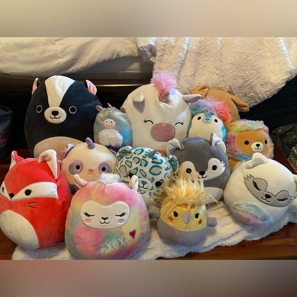 13 squishmallows well cared for from a collector.